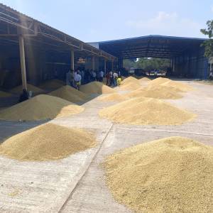 WhatsApp_Image_2026-10-13_at_1.31.05_PM_1_original
